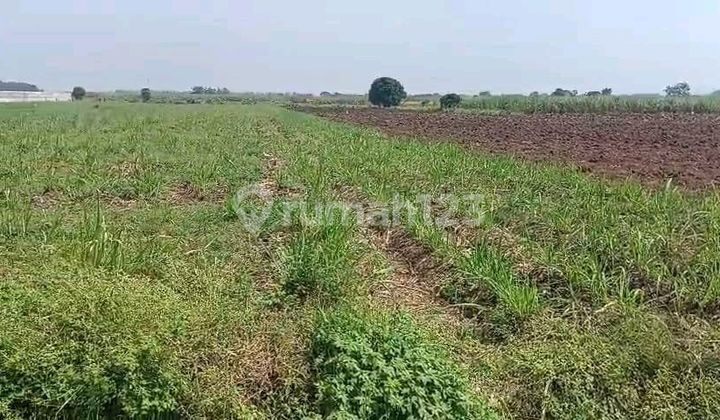 Lahan Tanah Industri Siap Bangun Pabrik Mojokerto