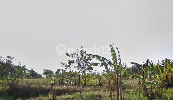 Tanah Di Pinggir Jalan Baru