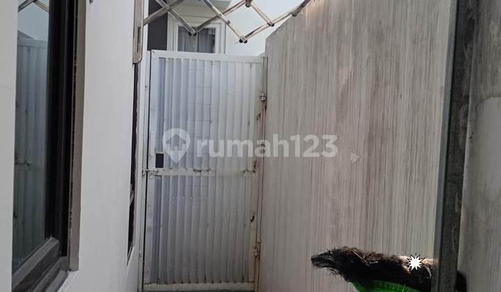 Furnished House In The City