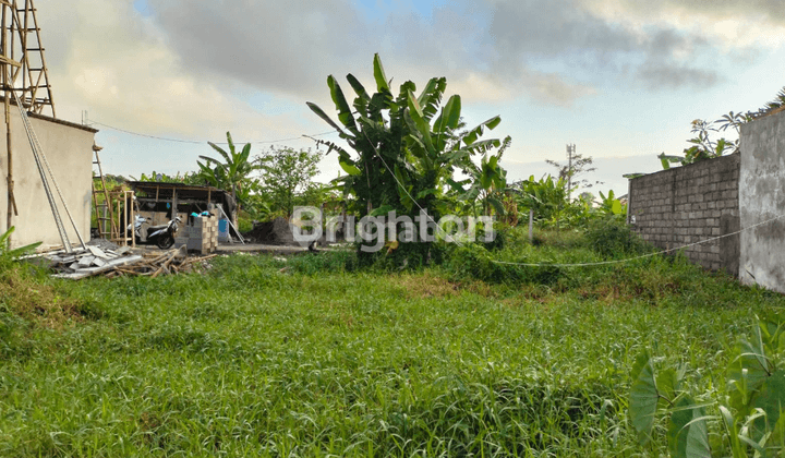 Land in Tuka - Dalung 2