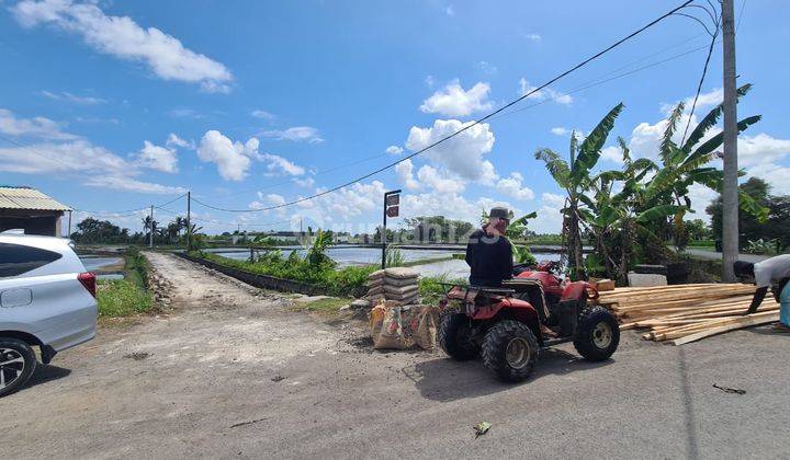 Tanah 26 Are di Singapadu Kaleran Gianyar Itr Kuning Cocok Untuk Villa 2