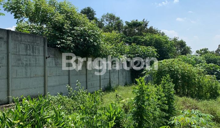 TANAH CIKEUSAL SERANG 