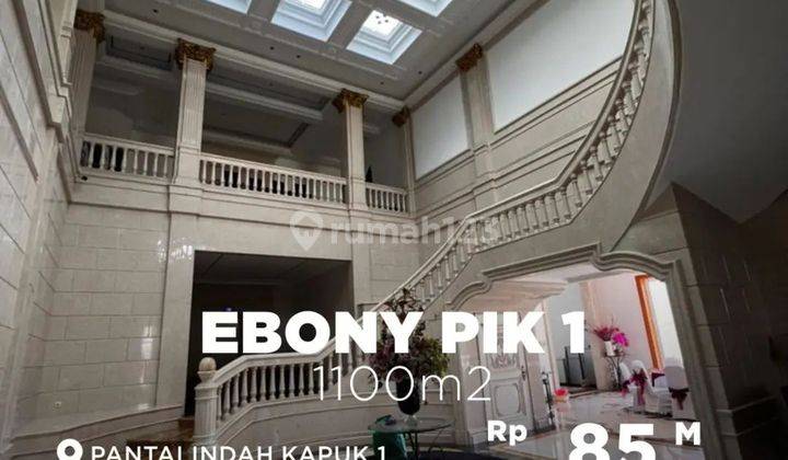 EBONY PIK 1 2