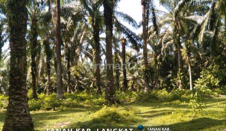 Dijual Tanah 12 Hektar Daerah Desa Bekulap Dan Desa Lau Mulgap 1