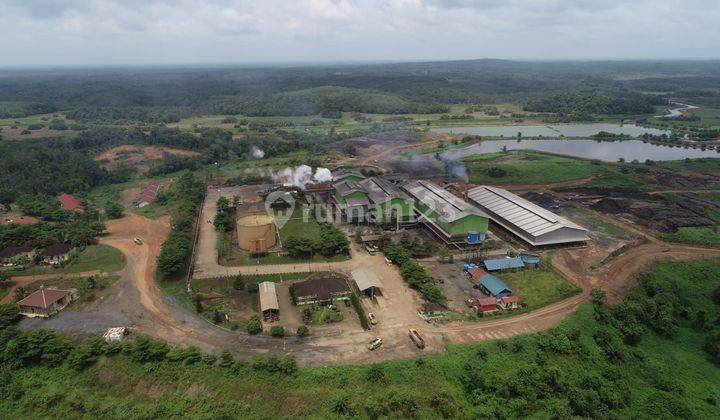 Dijual Perkebunan Sawit Di Banyuasin Sumatera Selatan 2