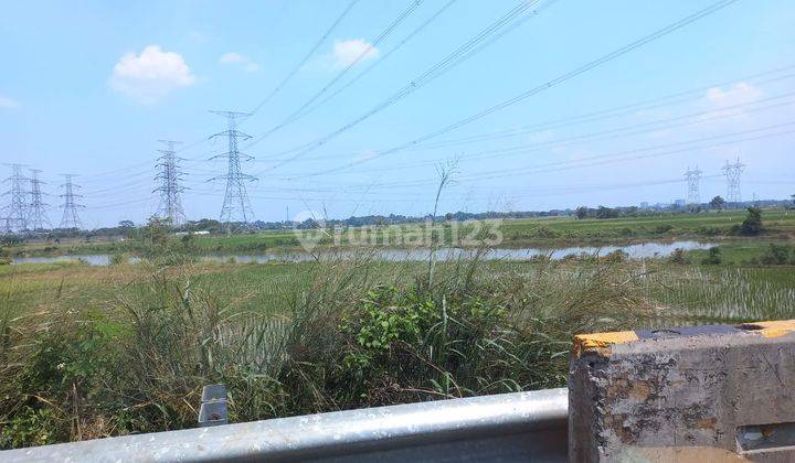 Dijual Cepat (BU) Tanah sawah deket toll KM43 1