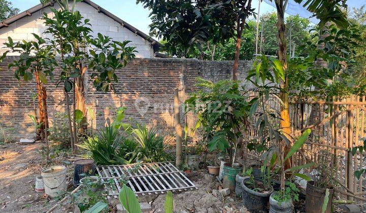 Dijual Cepat Rumah Dan Kebun Dekat Pik2 Teluknaga 2