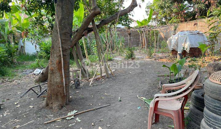 Dijual Cepat Rumah Dan Kebun Dekat Pik2 Teluknaga 1