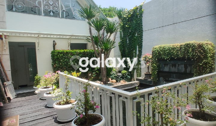 Rumah Cantik Komersil Pusat Kota Surabaya Full Furnished