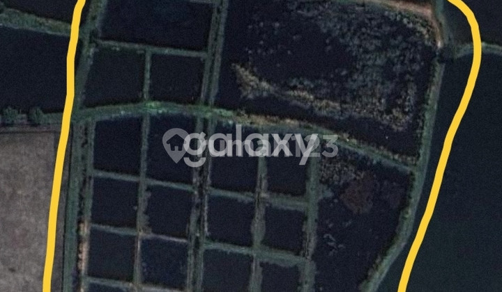 Lahan Tambak Udang / Ikan Jabon Sidoarjo Murah