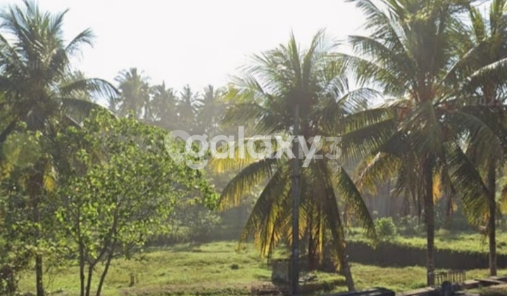 Tanah Komersil 0 Jalan Raya Denpasar-Gilimanuk Tabanan Bali