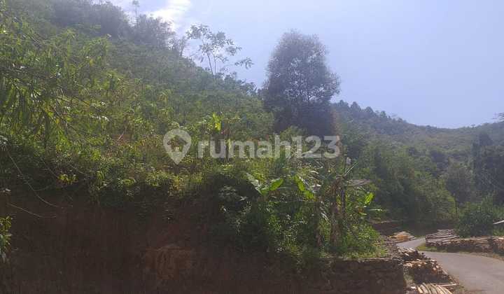 Di Jual Sebidang Tanah Kosong Dijalan Raya Cikotok Neglasari Lebak Banten