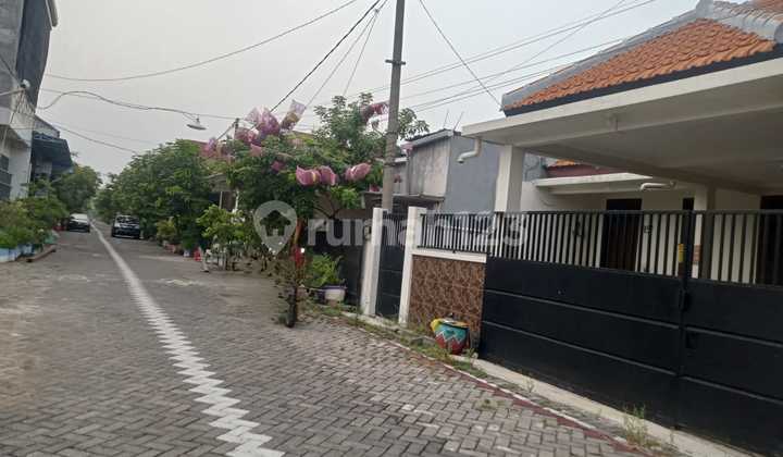 Luxury House For Sale Below Market Price 2