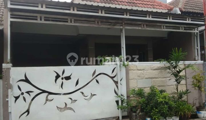 Jual Rumah Mutiara Regency Siap Huni Lok Super Strategis Dekat Exit Tol Lippo Plaza Jual Rumah Mutiara Regency Siap Huni Lok Super Strategis Dekat Exit Tol Lippo Plaza