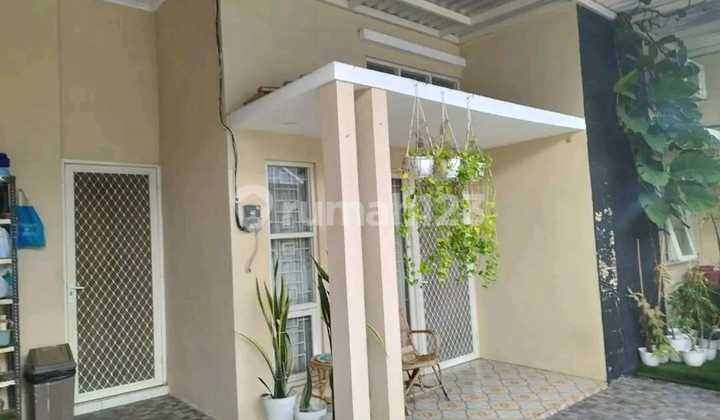 Jual Cepat Rumah Exlusive Alana Regency Siap Huni 2