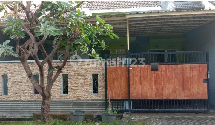 Jual Cepat Rumah Siap Huni Jaya Maspion Gedangan Jual Cepat Rumah Siap Huni Jaya Maspion Gedangan