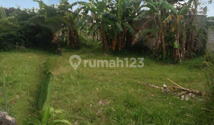 Tanah Luas Lokasi Prima  Desa Bojong Kerta Kabupaten Bogor S8700 2