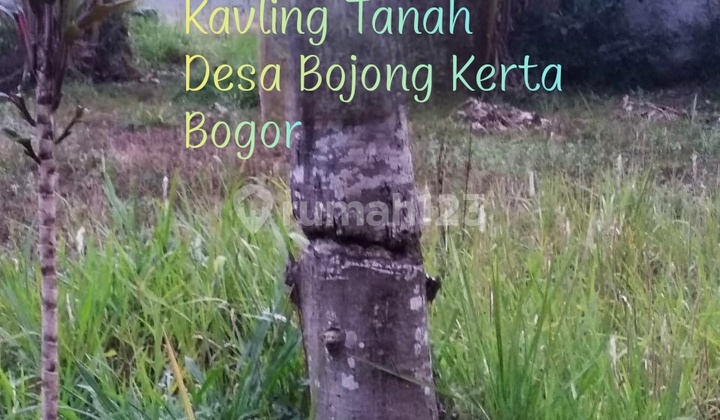 Tanah Luas Lokasi Prima  Desa Bojong Kerta Kabupaten Bogor S8700 1