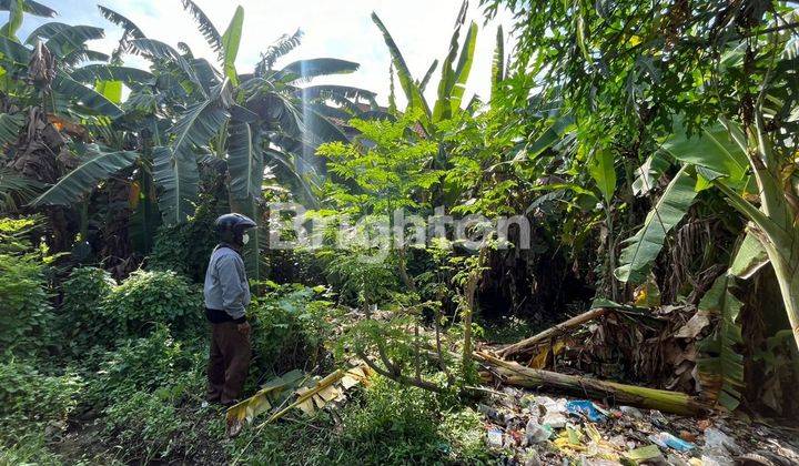 TANAH STRATEGIS KAWASAN CEPAKA TABANAN 1