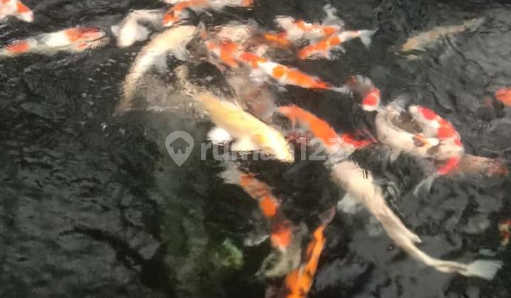 Luxury House in Antapani Near Lucky Square 2