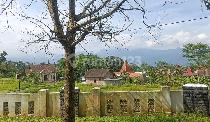 For Rent House Villa Concept with Mount Merbabu View 2