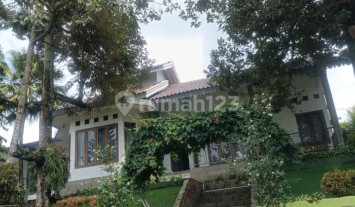 Luxury Villa Concept Guest House for Sale