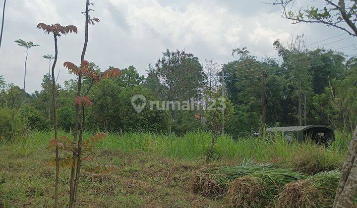 Dijual Sebidang Tanah Getasan Pinggir Jalan Aspal 2