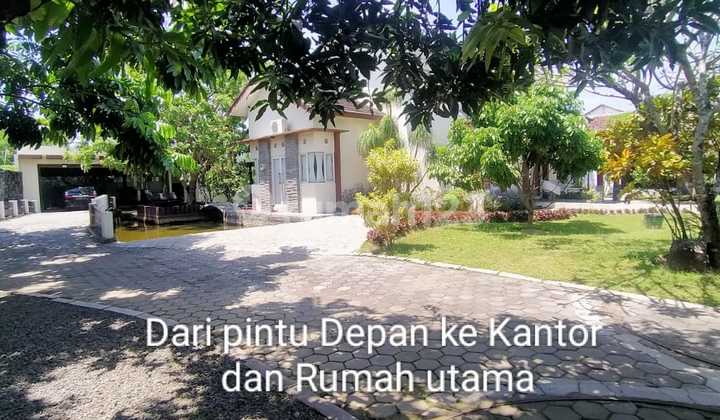 Dijual Rumah Mewah, Kantor Dan Kos Kosan 16 Kamar Aktif (bu)