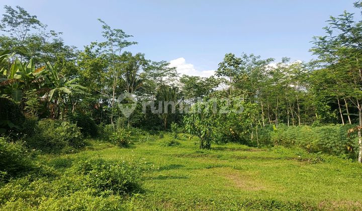 Flat Land for Sale Near Mountview Christian School Flat Land for Sale Near Mountview Christian School
