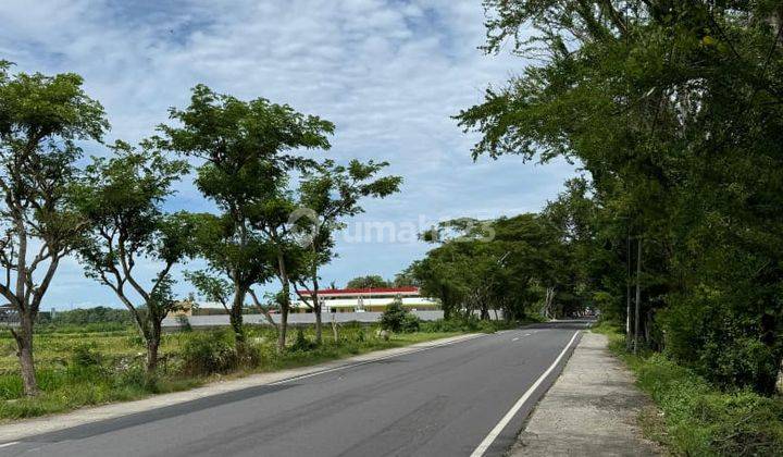 Jual Tanah Di Gotakan, Panjatan, Wates, Kulon Progo, Yogyakarta  1