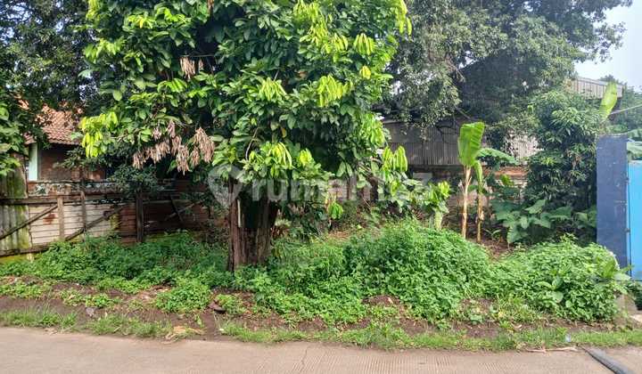 Dijual Tanah Di Jl Pabuaran Cikeas Gunung Putri Dijual Tanah Di Jl Pabuaran Cikeas Gunung Putri