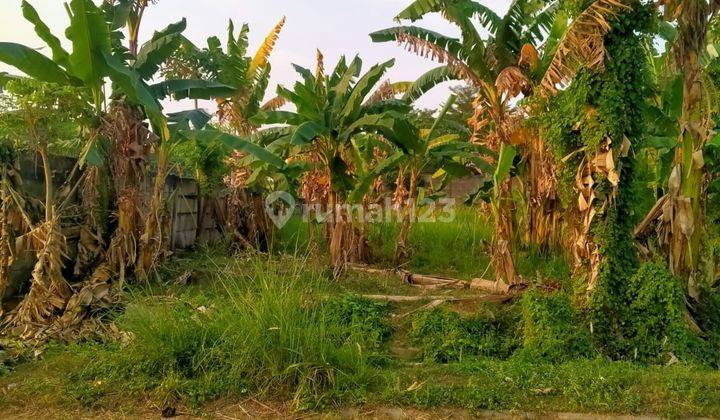 Di Jual Lahan Kavling Tanah Kosong Di Taman Kebon Jeruk  1