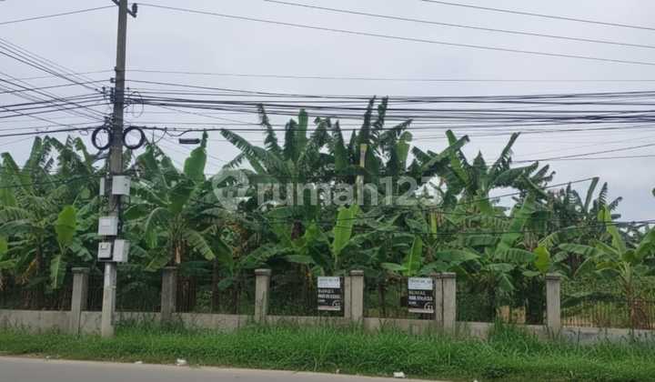 Tanah Dijual Di Ciangsana Pinggir Jalan Raya Lokasi Strategis