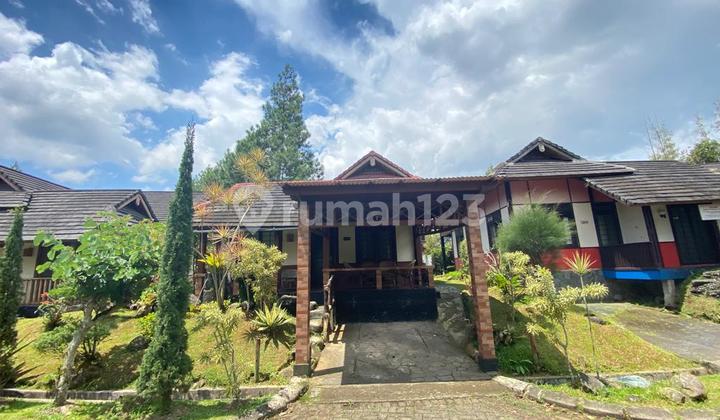 Dijual Villa Gaya Jepang Bagus Siap Huni Di Kota Bunga Puncak Dijual Villa Gaya Jepang Bagus Siap Huni Di Kota Bunga Puncak