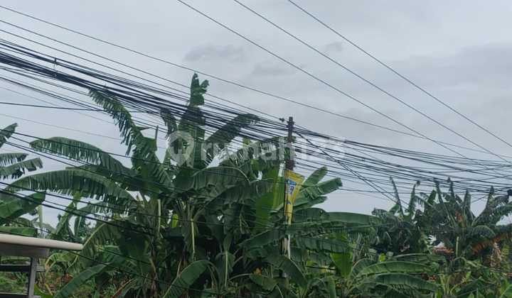 Tanah Dijual Di Ciangsana Pinggir Jalan Raya Lokasi Strategis
