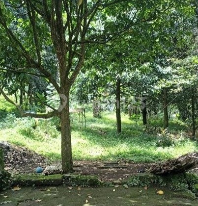 Tanah, di Leuwi Gajah Tanah, di Leuwi Gajah