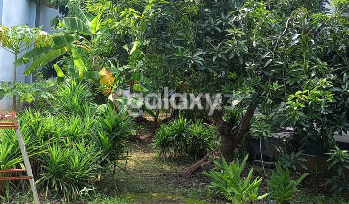 Dijual Bu di Jl Sri Rejeki Semarang Barat 1