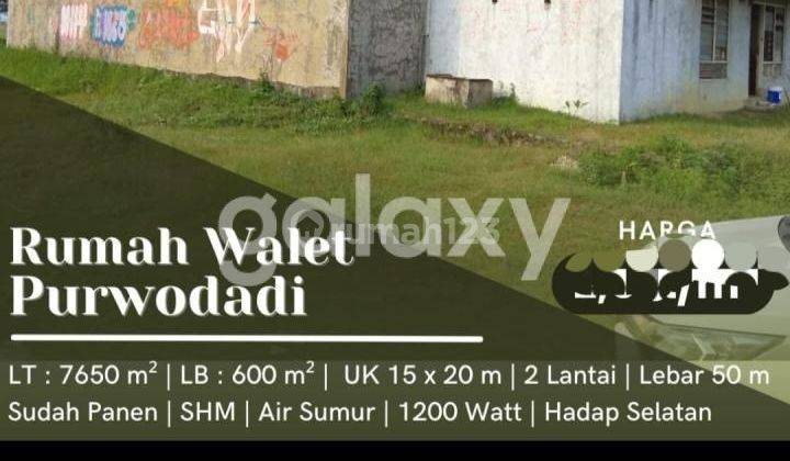 Dijual Rumah Walet, Purwodadi 1