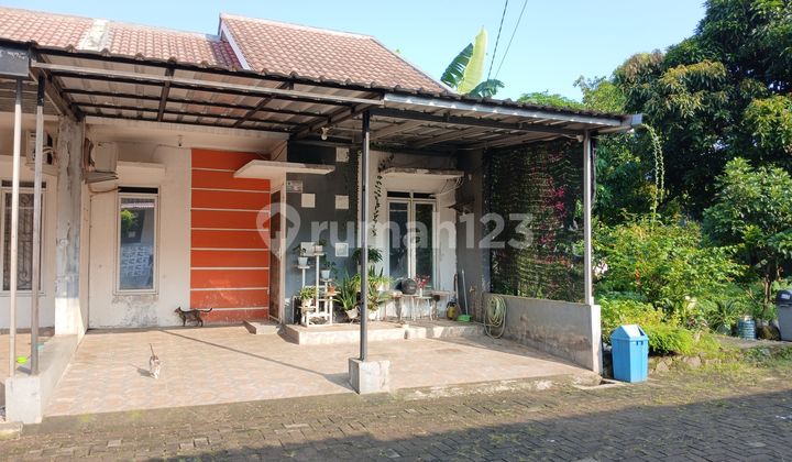 Rumah, 1 Lantai, SHM, Ada di Lingkungan Islami di Shaffa Residence, Cibinong Rumah, 1 Lantai, SHM, Ada di Lingkungan Islami di Shaffa Residence, Cibinong