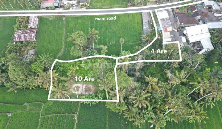 Freehold Amazing Freehold Land In Ubud Tegallang 1