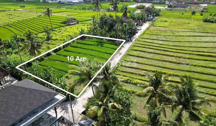 Freehold Perfect Size Land In The Orange Zone Of Nyanyi 2