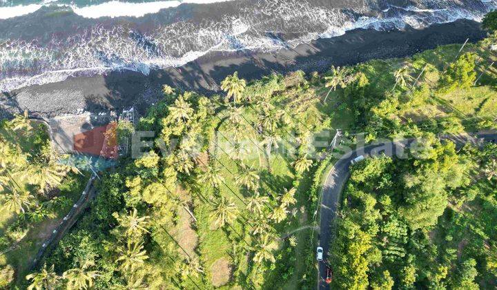 FREEHOLD - Stunning Beachfront Land in Karangasem 1