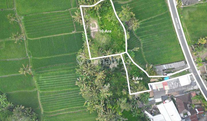 Freehold Amazing Freehold Land In Ubud Tegallang 2