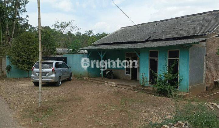 Tanah Ada Kolam Ikan, kandang kambing, kandang Burung 1