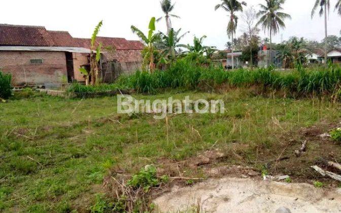 Tanah Banjar Agung, Jati Agung Lamsel 1