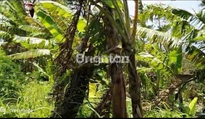 Tanah vieuw pulau Kiluan Tanggamus Lampung 2