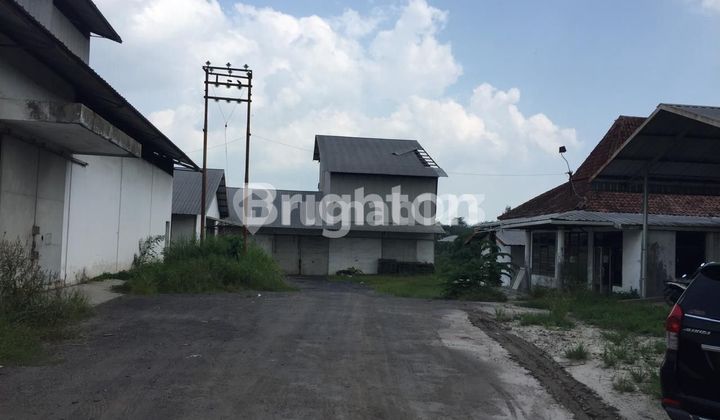 Sutami Warehouse Bandar Lampung Sutami Warehouse Bandar Lampung