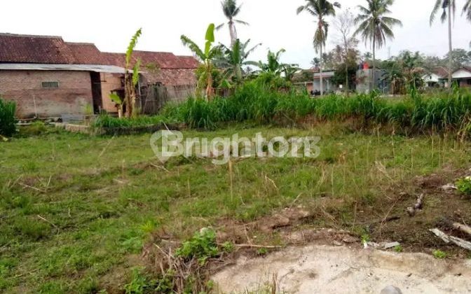 Tanah Banjar Agung, Jati Agung Lamsel Tanah Banjar Agung, Jati Agung Lamsel