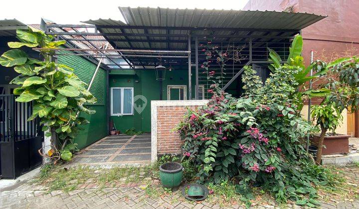 Rumah Murah Bamban Asrikaton Pakis Perum Bougenvil Dijual Cpt  2