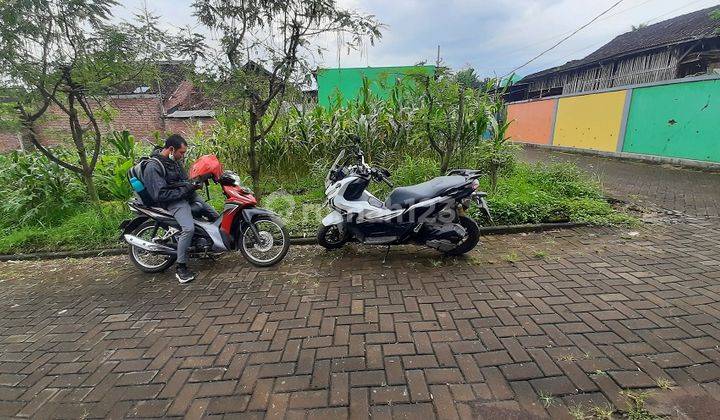 Tanah Murah Bunut Asrikaton Pakis SHM Hook Dijual B.u Poll Dkt Jl Raya 2